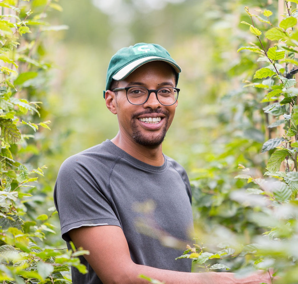 Storpack Häckväxter