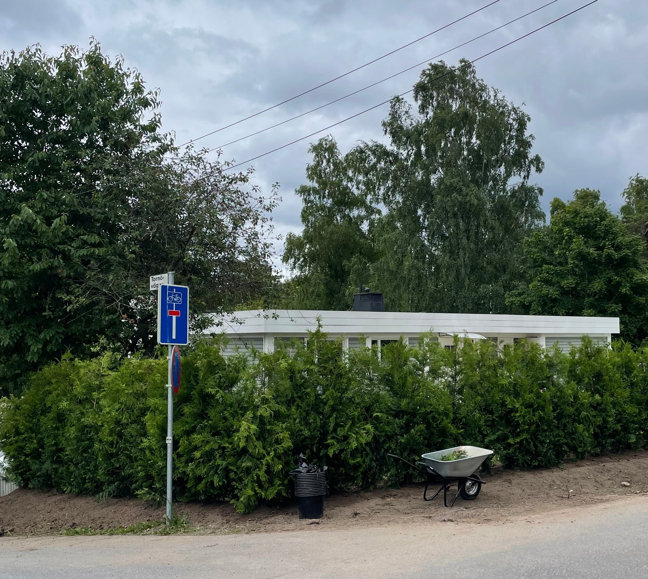 Thuja Brabant 200-225 cm XXL